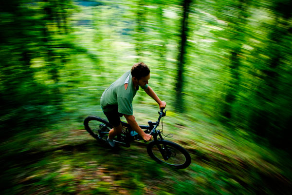 Photograph Marko Radovanovic Wild In Forest on One Eyeland